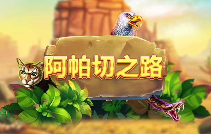 澳门今晚开什么码网站软件